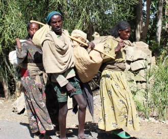 ETH LLI 2013 Family group copy