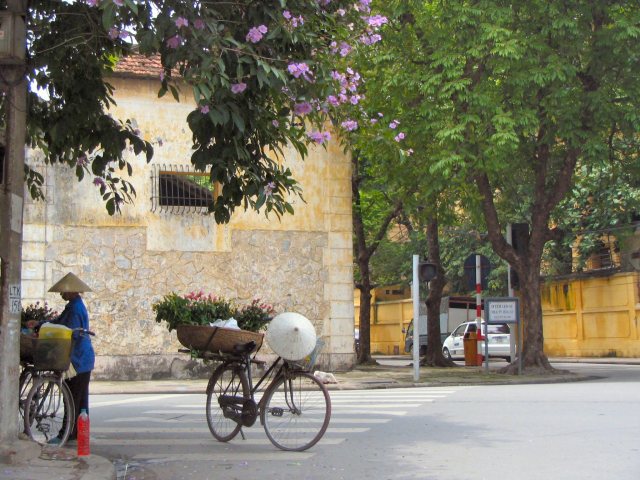 VNM Hanoi 06 Magical street scene