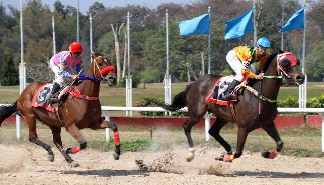 This one actually has all eight feet in the air