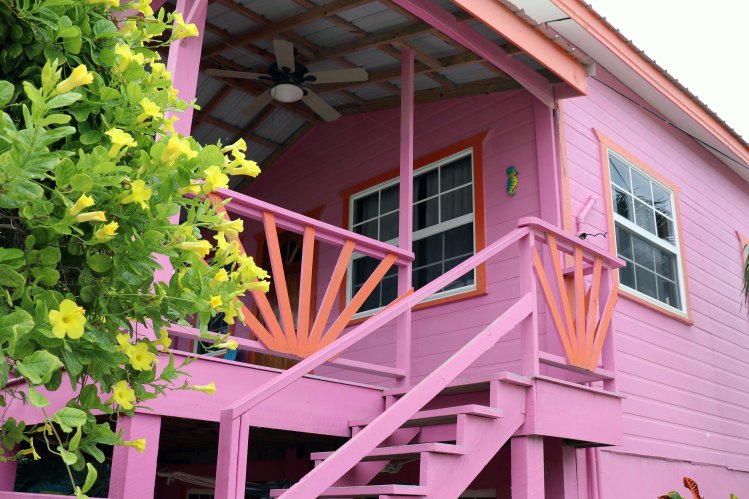 Pinks and yellows CC